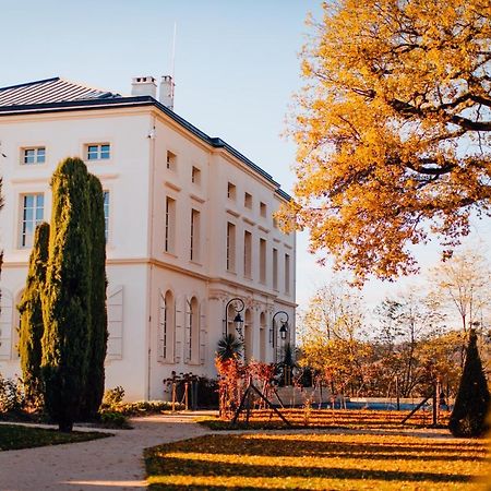 Chateau De Longpre Varilhes Екстериор снимка